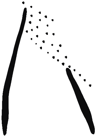 Image of the occurrence